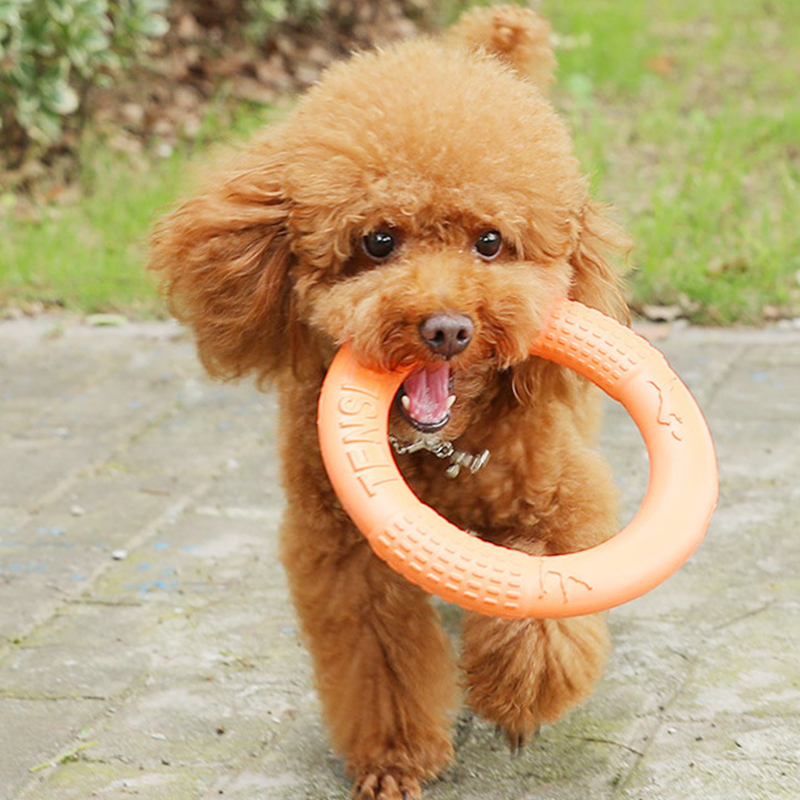 1pc Orange Dog Toys Pet Flying - Snuffle Mat For Dogs ulasan dan harga
