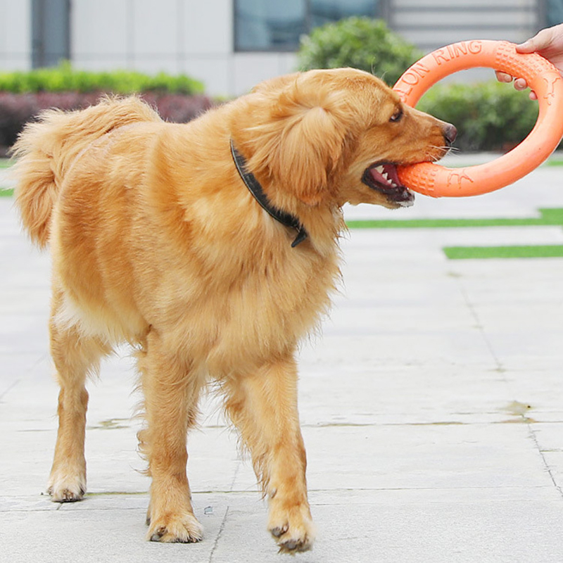 1pc Orange Dog Toys Pet Flying - Snuffle Mat For Dogs ulasan dan harga