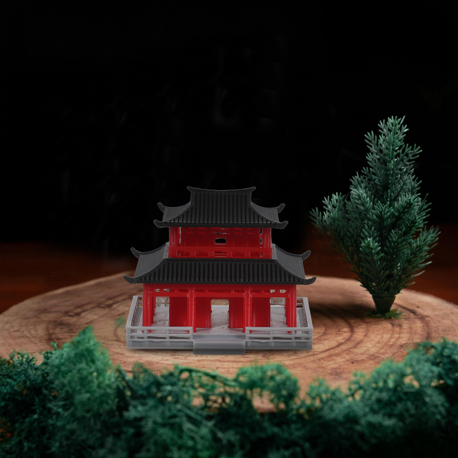 Black Red Ancient Chinese Pavi - Aquarium ulasan dan harga