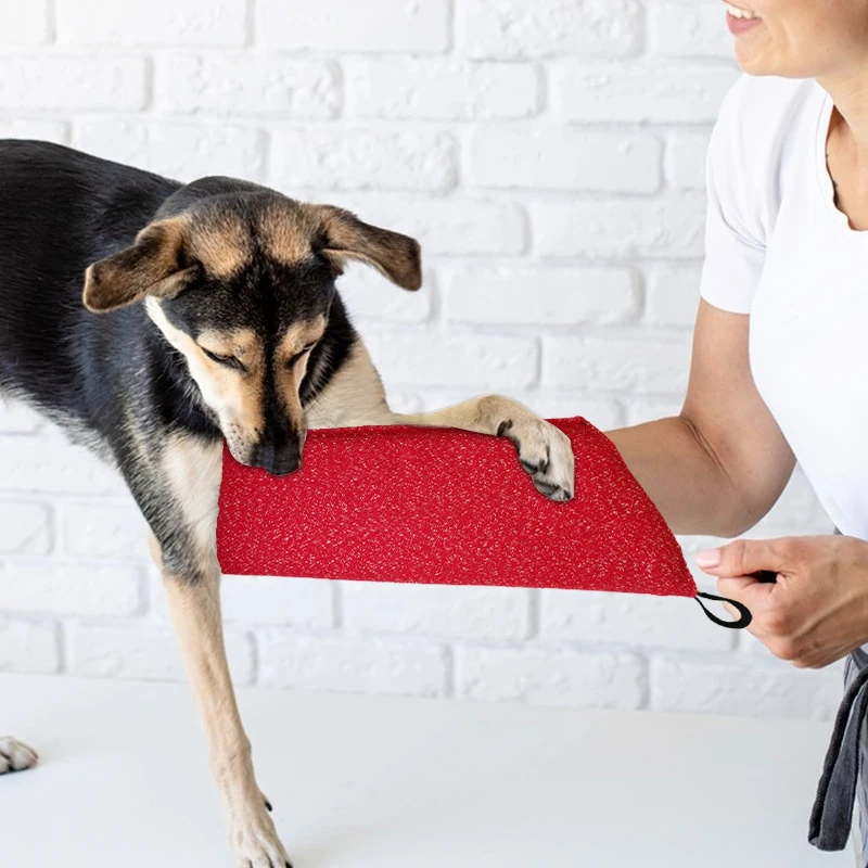 Dog Training Sleeves Puppy Bit - Interactive Squeaky Plush Dog Toy ulasan dan harga