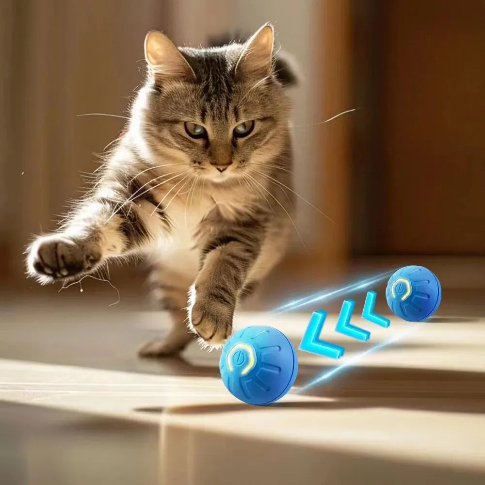 New 1pc Automatic Moving Dog T - Automatic Moving Dog Ball ulasan dan harga