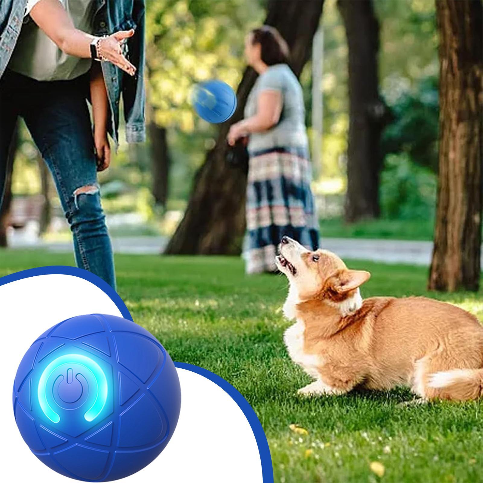 Smart Interactive Dog Toys for - Automatic Moving Dog Ball ulasan dan harga