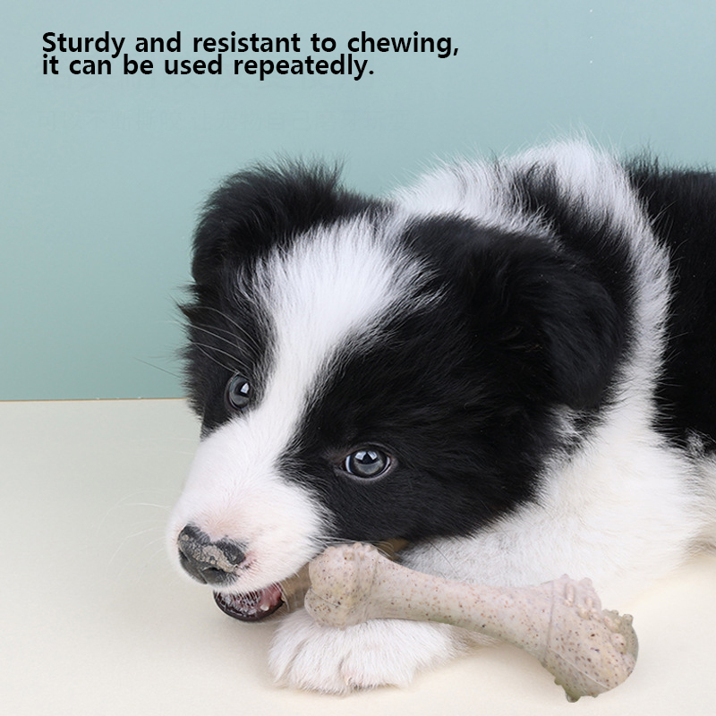 12cm Pet Toys Dog Tooth Cleani - Teeth Cleaning Dog Chew Bone ulasan dan harga