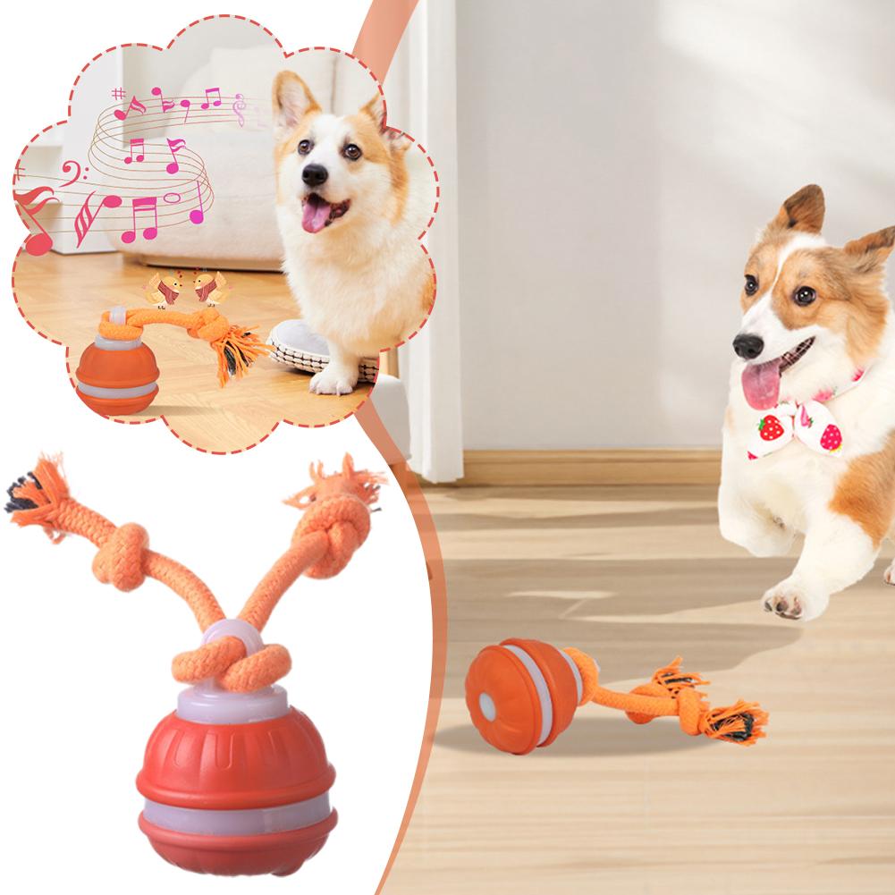Smart Rechargeable Dog Ball In - Automatic Moving Dog Ball ulasan dan harga
