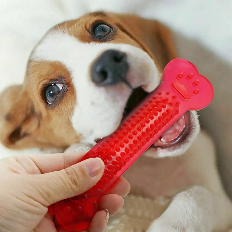 Super Tough Dog Bone Chew Toy  - Teeth Cleaning Dog Chew Bone ulasan dan harga