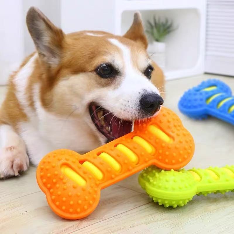 Rubber Bone Dog Molar Stick No - Teeth Cleaning Dog Chew Bone ulasan dan harga