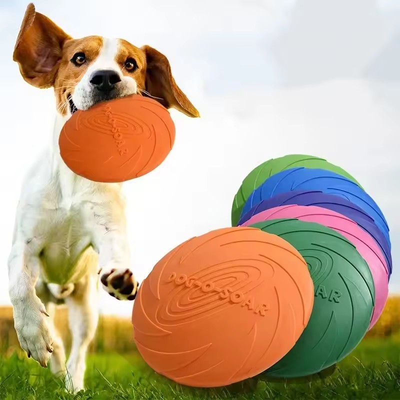 Interactive Silicone Flying Sa - Flying Disc Dog Training Toy ulasan dan harga