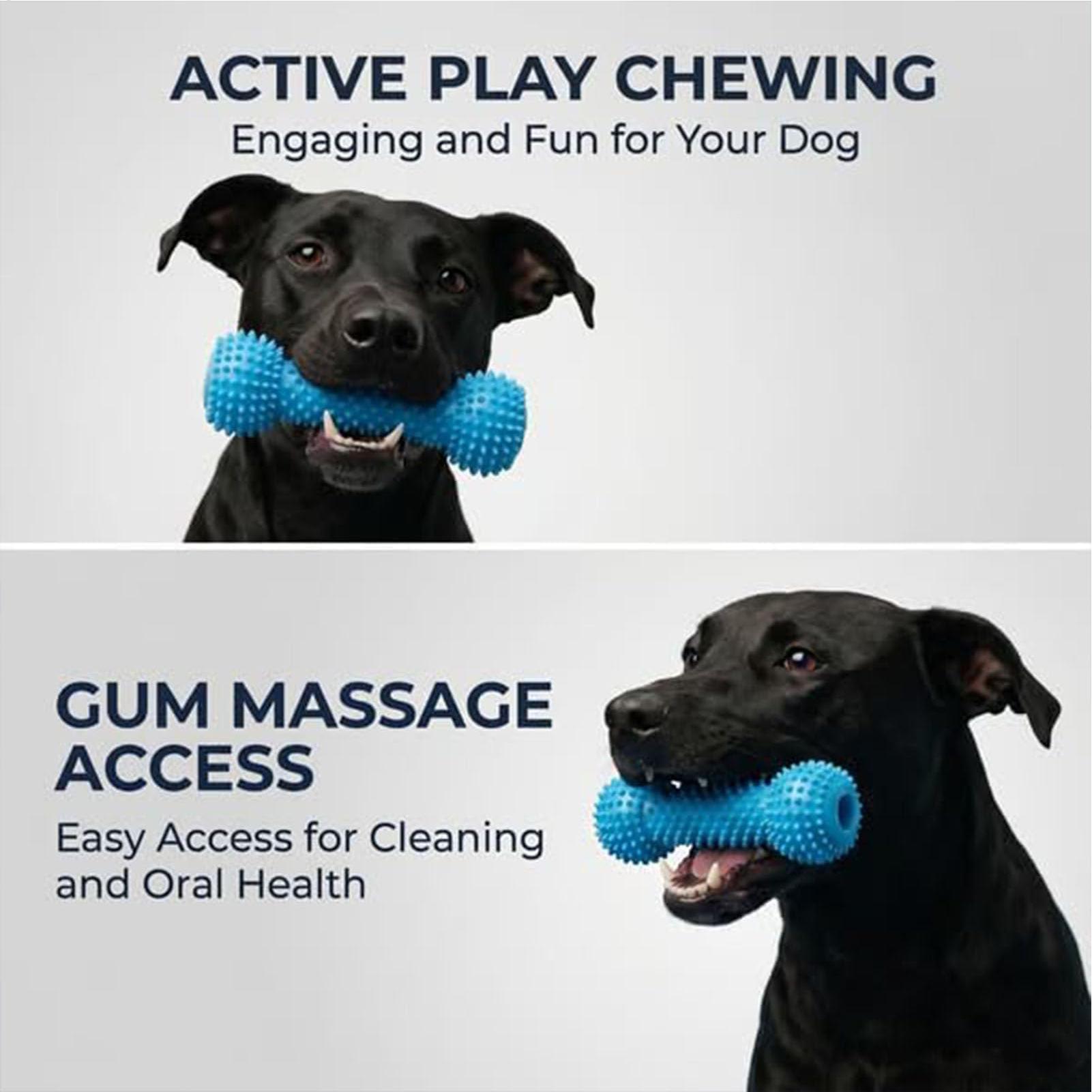 Dog Toothbrushing Toys Chewer  - Interactive Squeaky Plush Dog Toy ulasan dan harga
