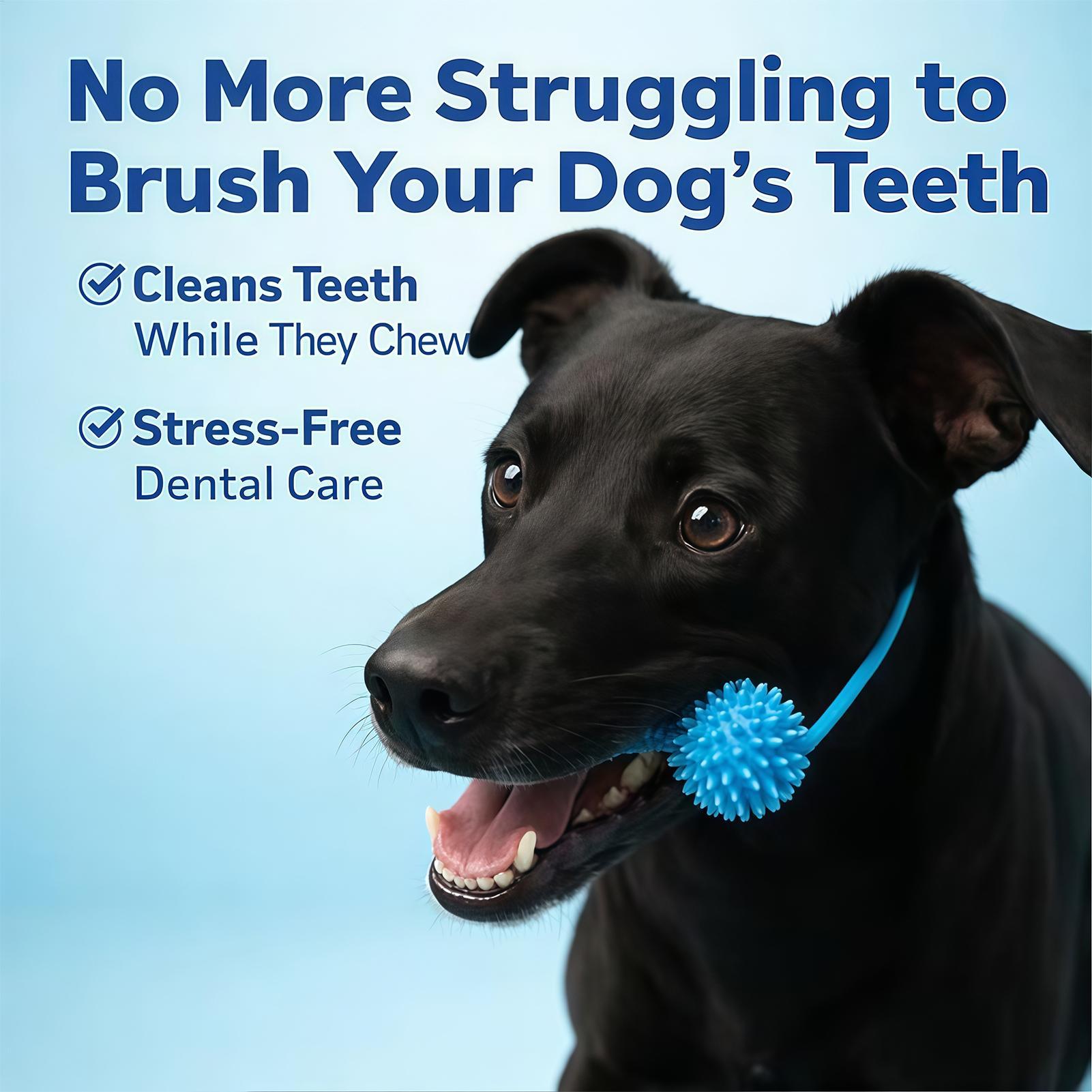 Dog Toothbrushing Toys Chewer  - Interactive Squeaky Plush Dog Toy ulasan dan harga