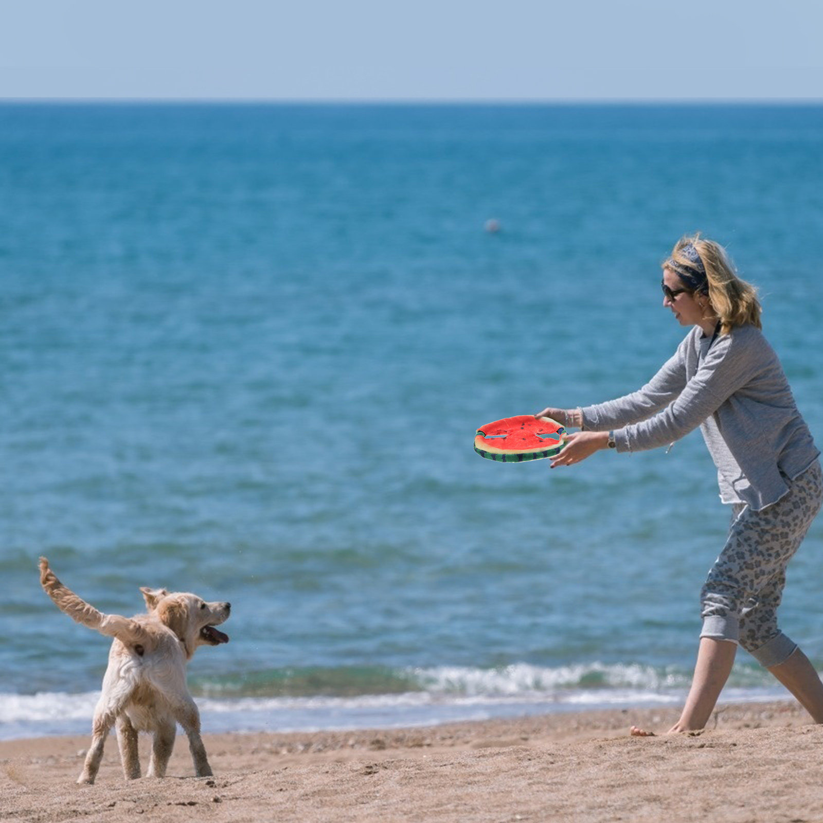 Dog Flying Disc Floating Water - Flying Disc Dog Training Toy ulasan dan harga