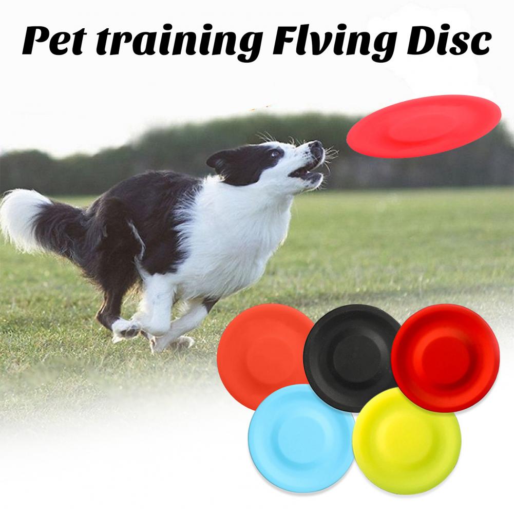 Pet Dog Flying Disk Toy，Silica - Flying Disc Dog Training Toy ulasan dan harga