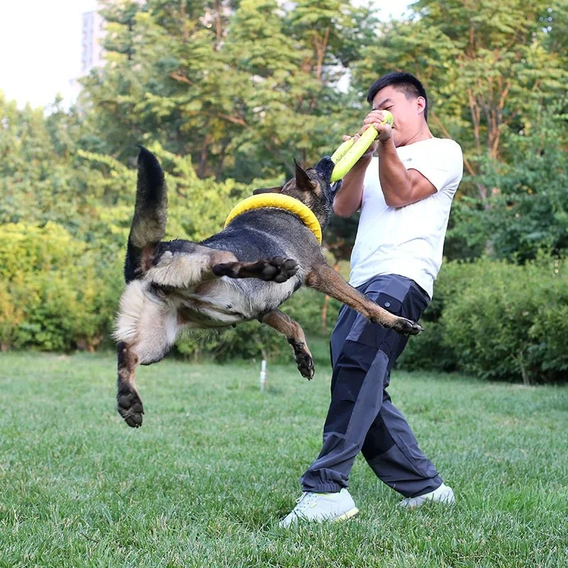 Dog Toys Pet Flying Discs EVA  - Indestructible Dog Chew Toy ulasan dan harga