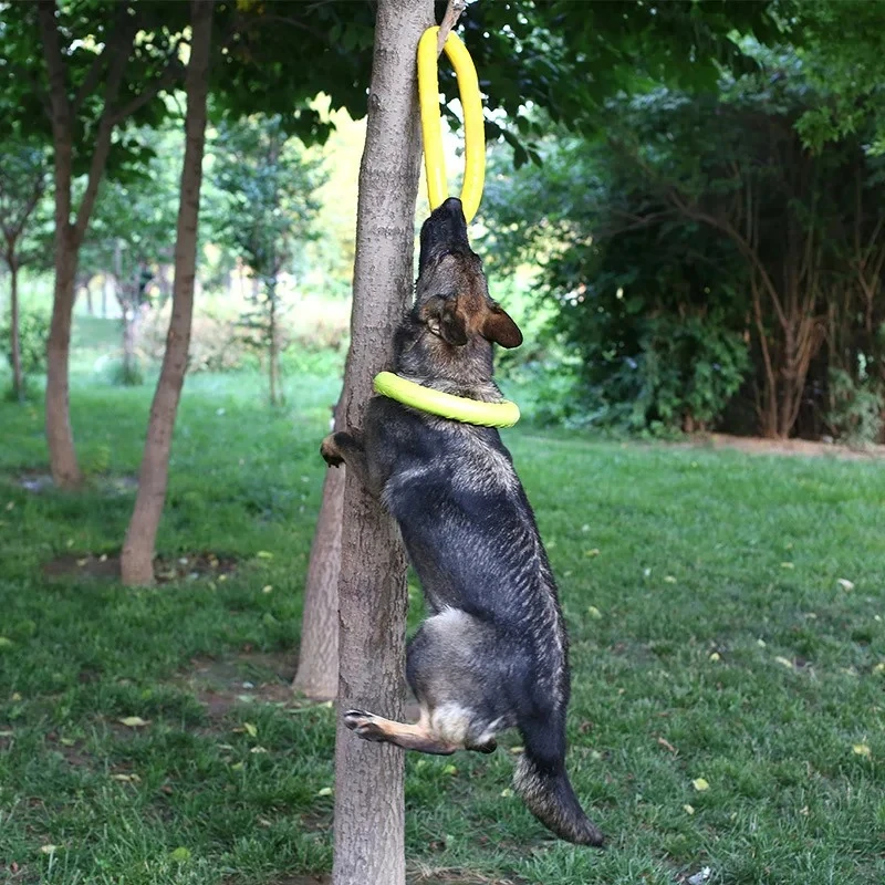 Dog Toys Pet Flying Discs EVA  - Indestructible Dog Chew Toy ulasan dan harga