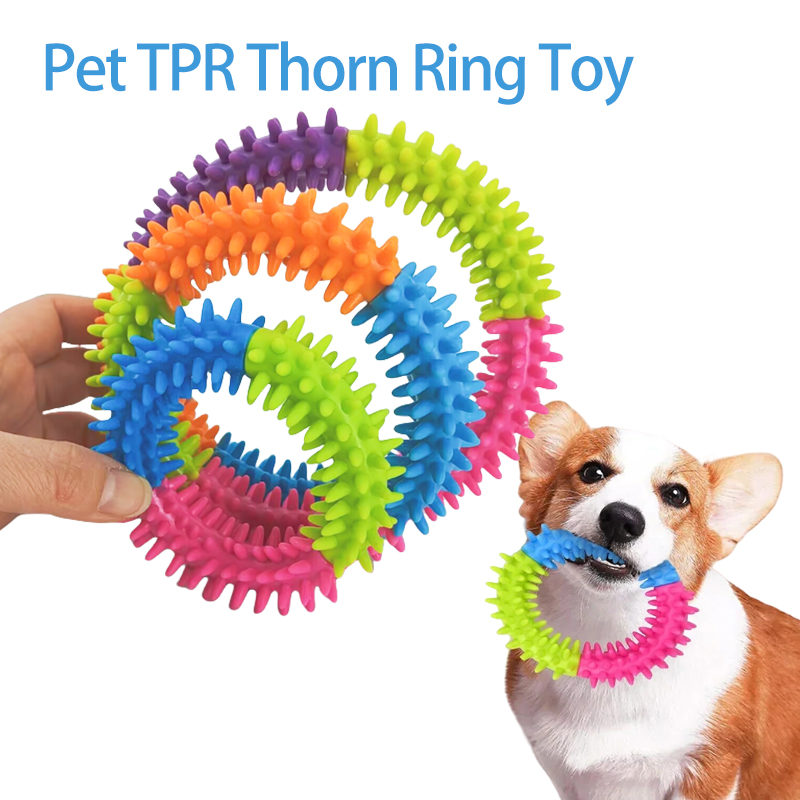 Cute Dog Toys Training Flying  - Flying Disc Dog Training Toy ulasan dan harga