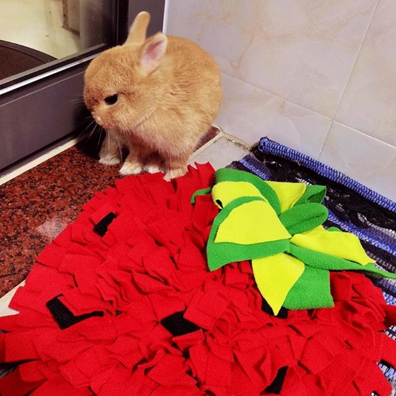 Pet Enrichment Slow Feeding Ma - Snuffle Mat For Dogs ulasan dan harga
