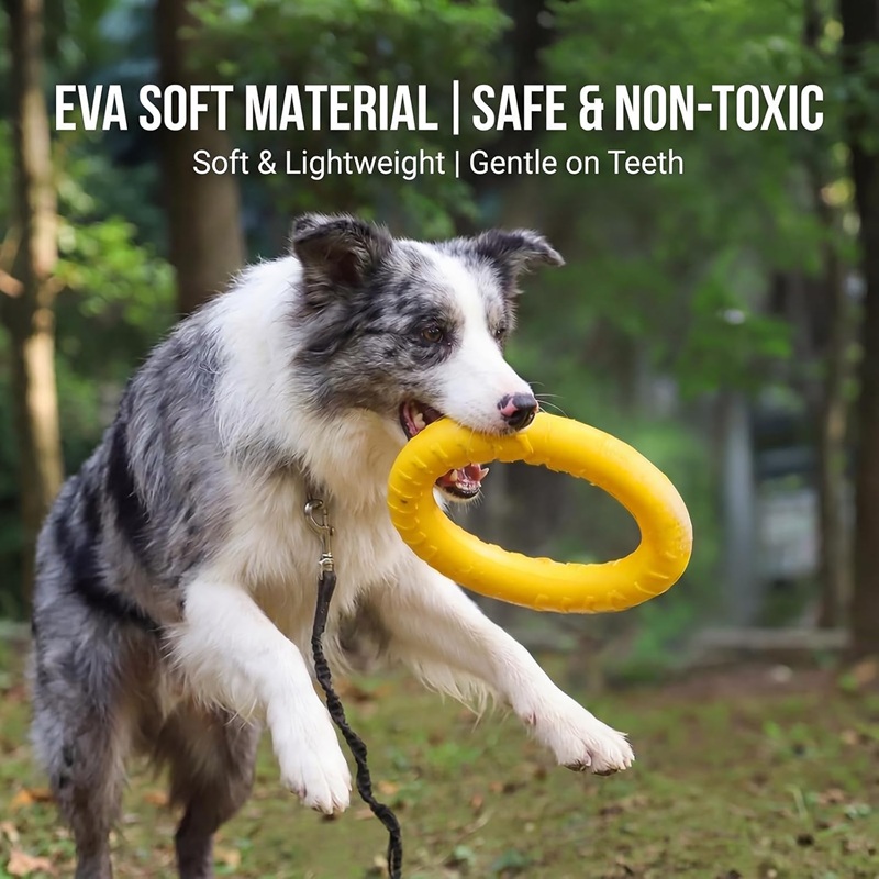Dog Toys Pet Flying Discs EVA  - Suction Cup Dog Tug Toy ulasan dan harga