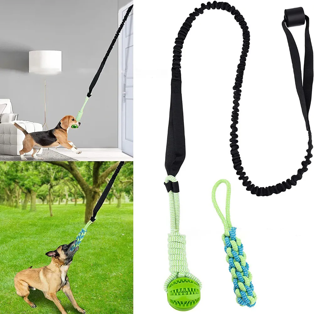 Interactive Dog Toy Tug of War - Suction Cup Dog Tug Toy ulasan dan harga