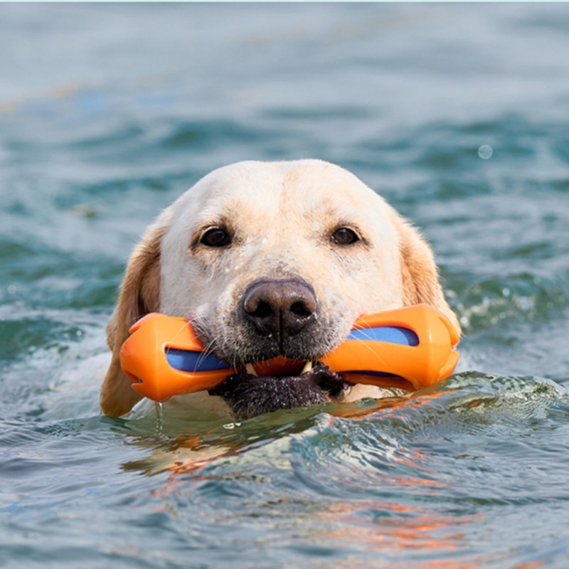 Dog Fetch Stick TPR EVA Floati - Indestructible Dog Chew Toy ulasan dan harga
