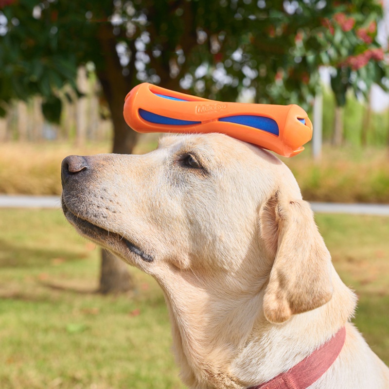 Dog Fetch Stick TPR EVA Floati - Indestructible Dog Chew Toy ulasan dan harga