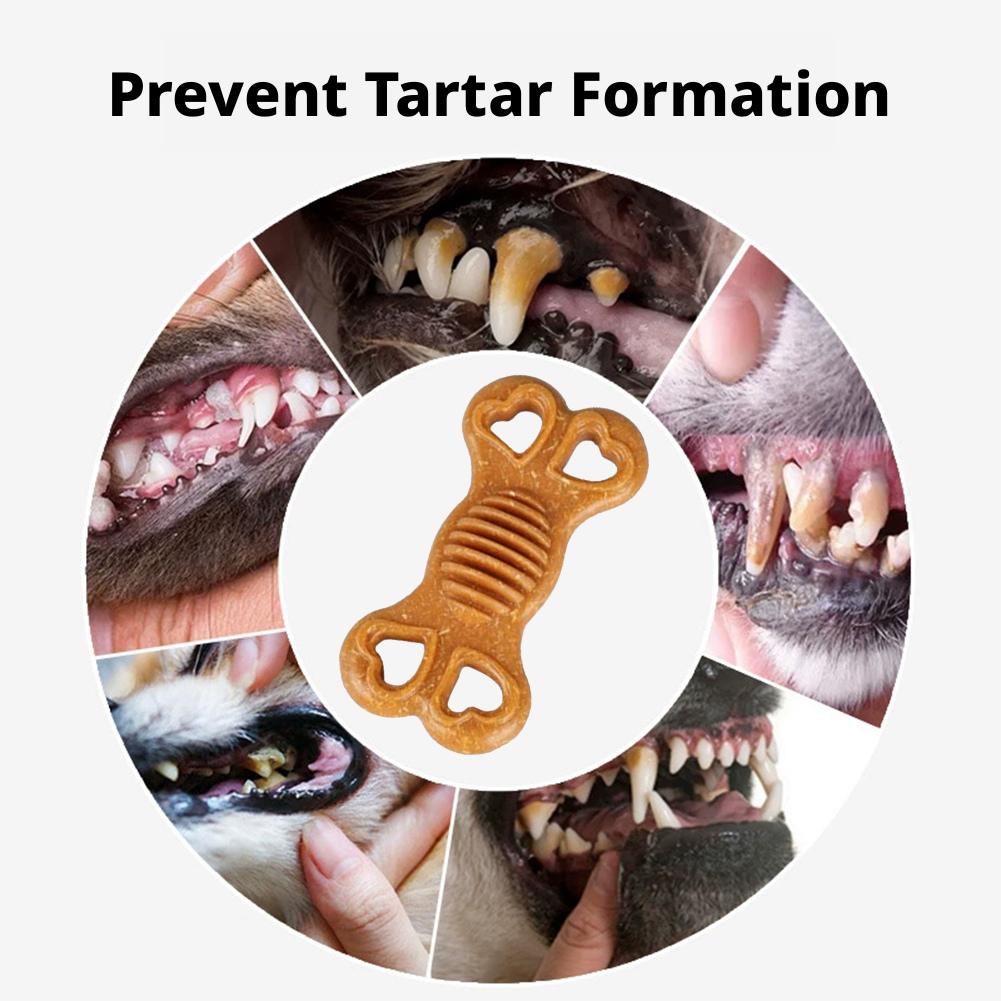 Indestructible Dog Chew Toy Bo - Teeth Cleaning Dog Chew Bone ulasan dan harga