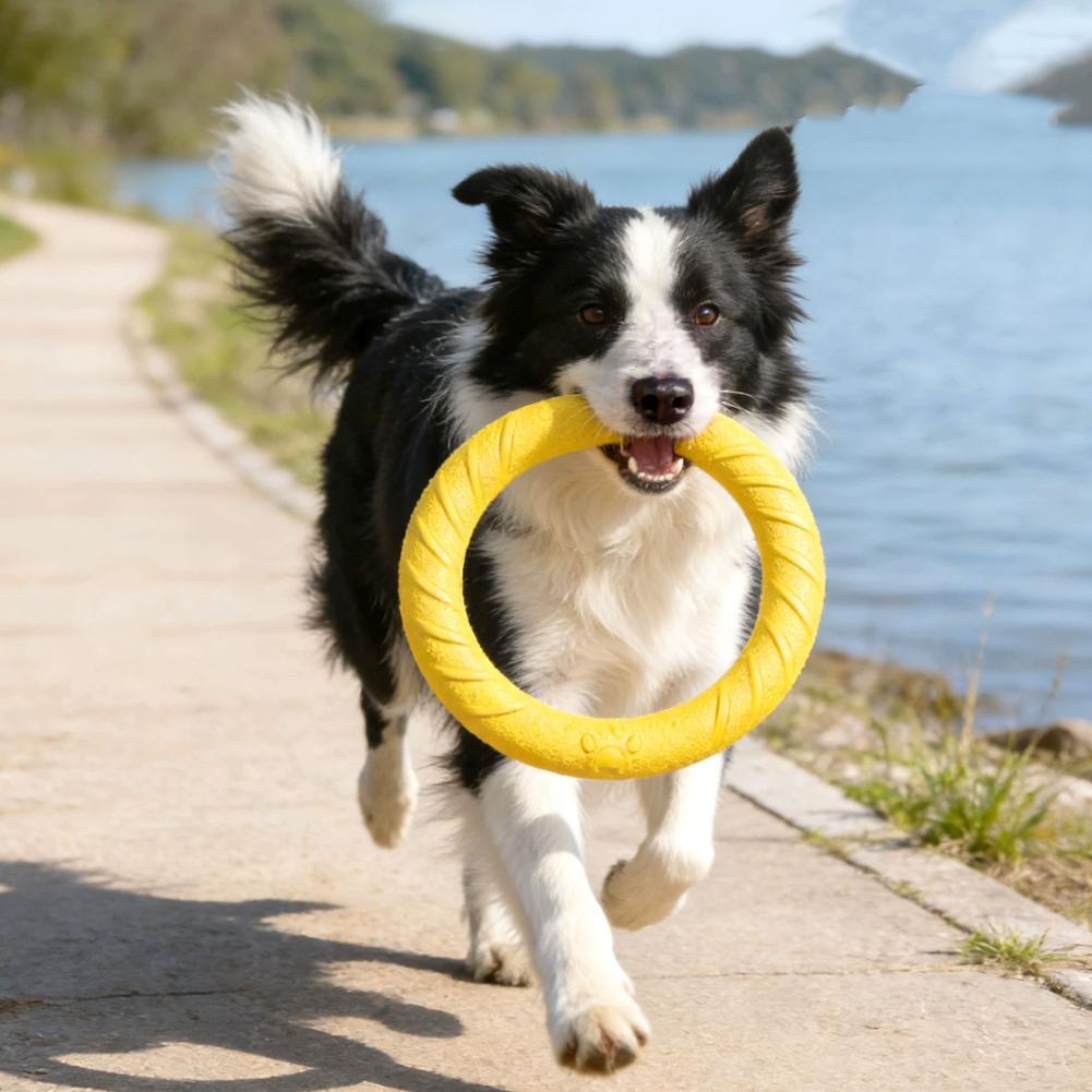 Dog Ring Toys Indestructible C - Indestructible Dog Chew Toy ulasan dan harga